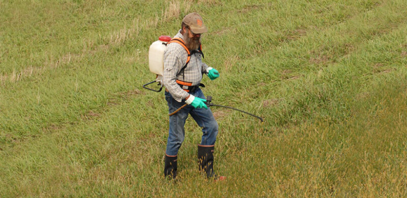 Person spraying grassy field with herbicide