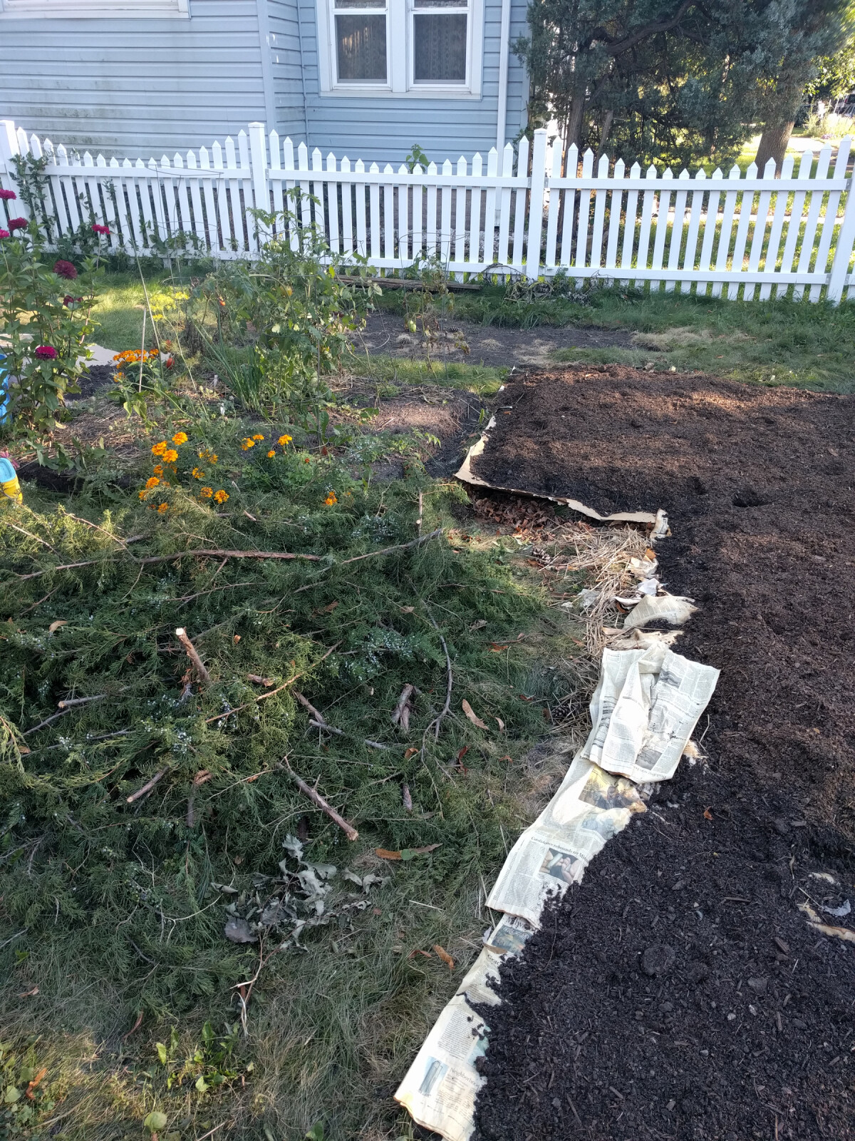 Work in progress sheet mulching the vegetable garden