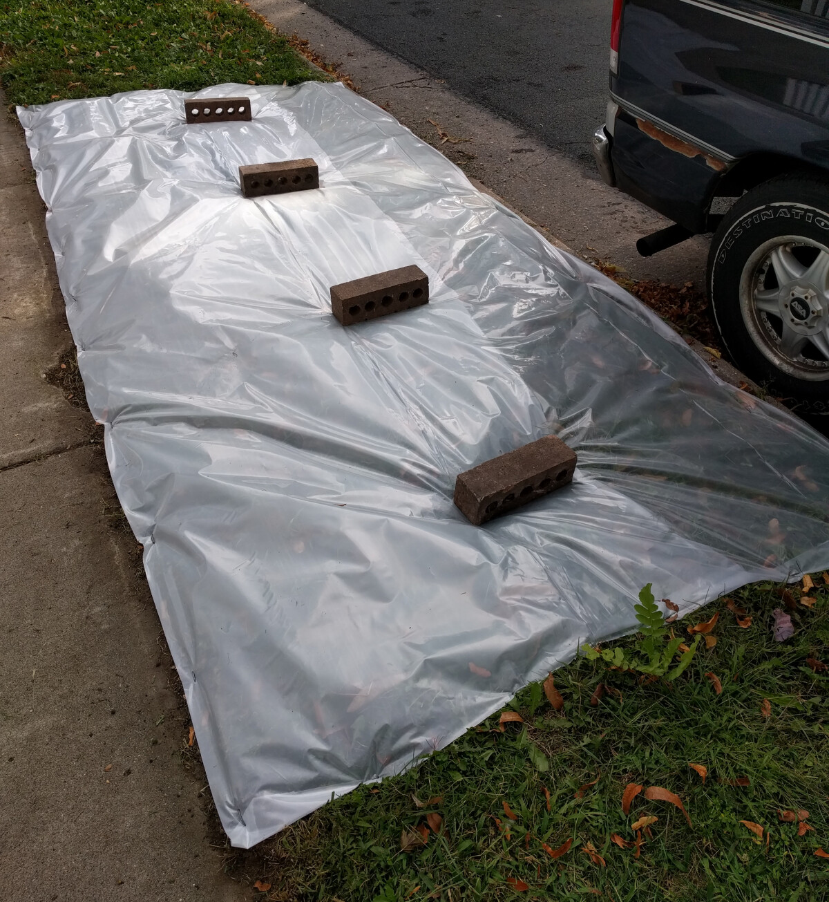 Clear plastic sheeting laid over the boulevard grass