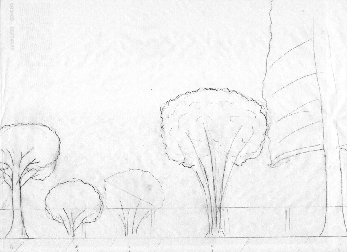 A sketch of the rain garden layout from the side