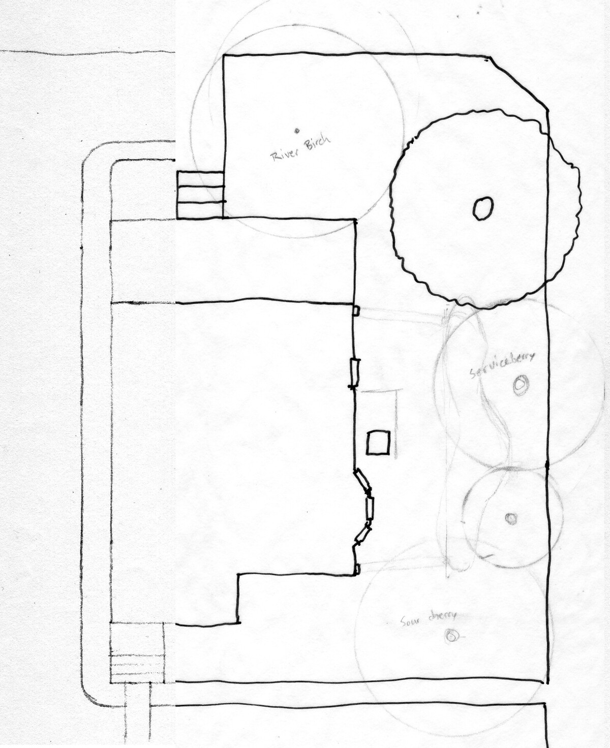 Sketch of a potential rain garden layout