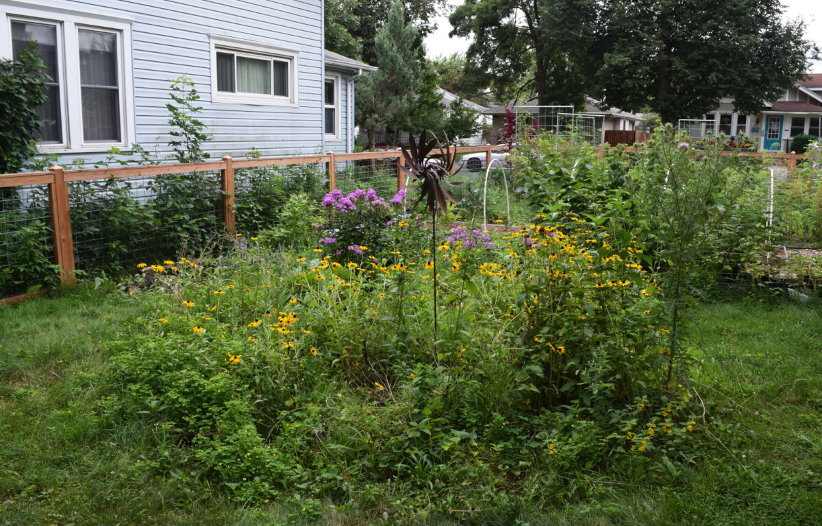 The prairie garden with blooming flowers