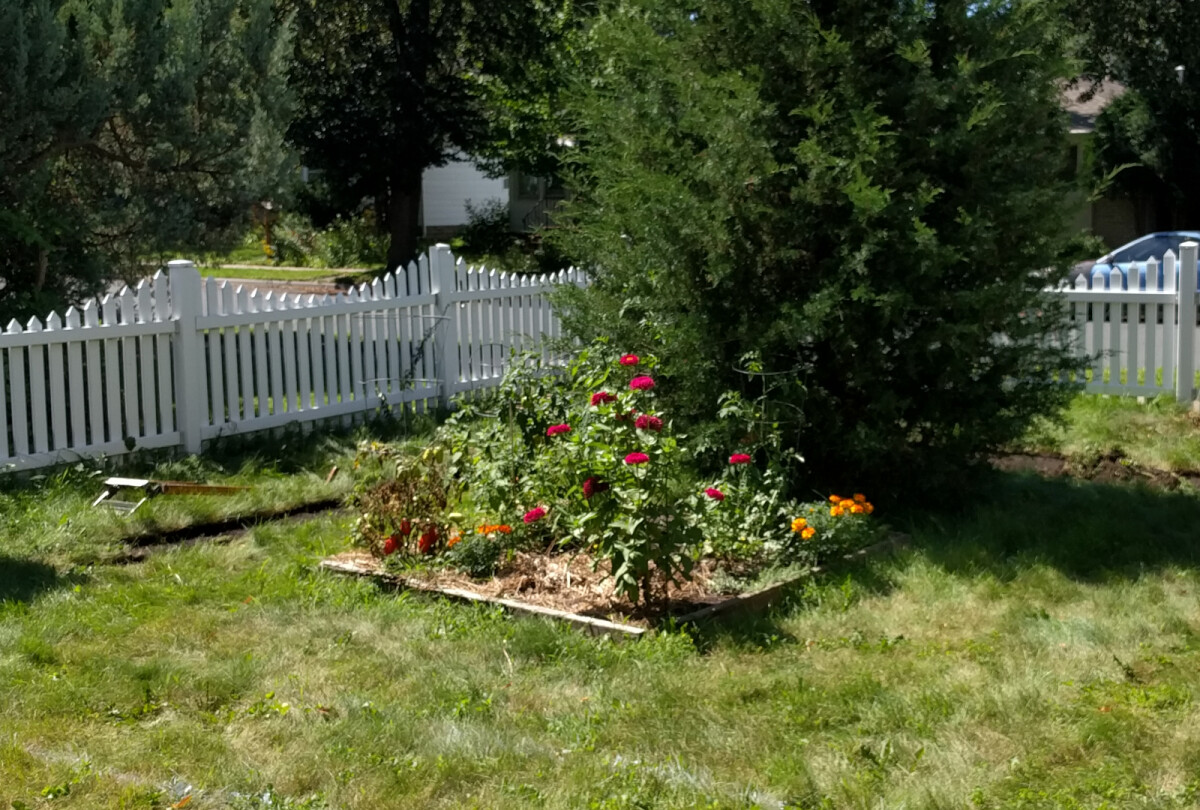 The raised bed in late summer