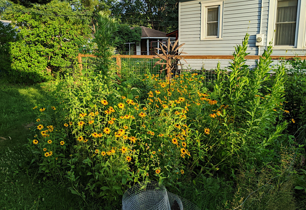 The whirligig in the middle of the prairie garden