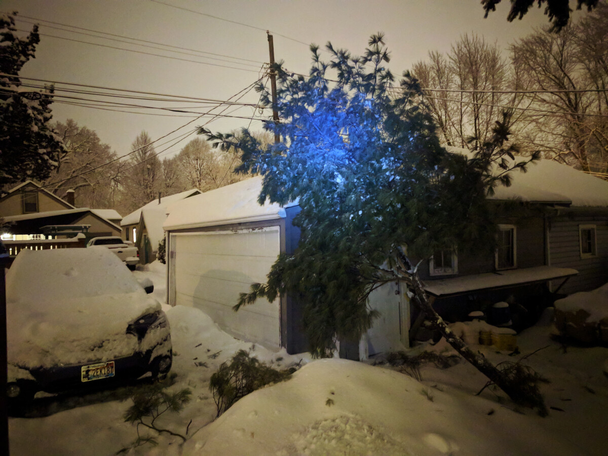 A fallen tree branch that landed on the garage