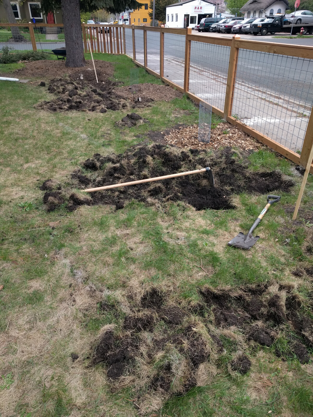 Partially dug-up sod