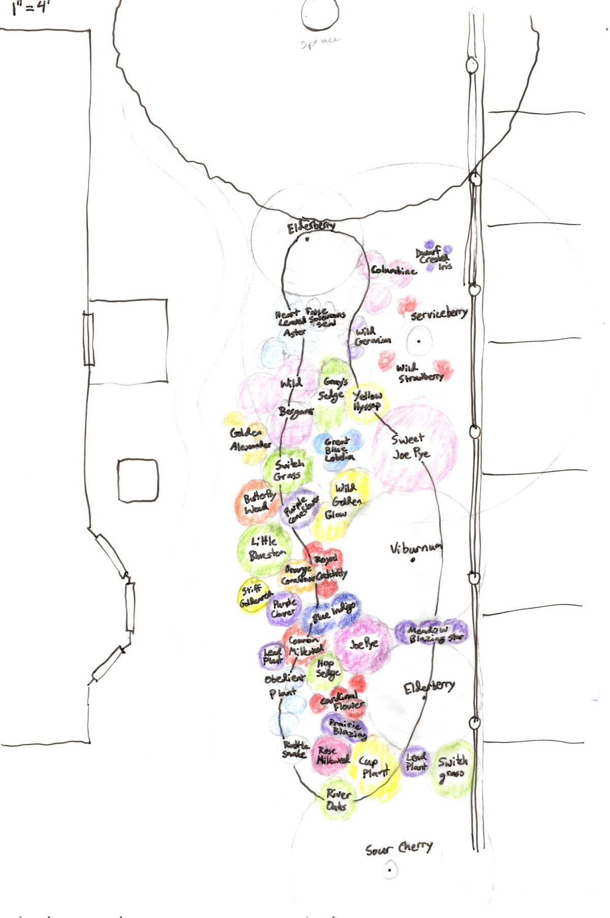 A color-coded rain garden layout drawing