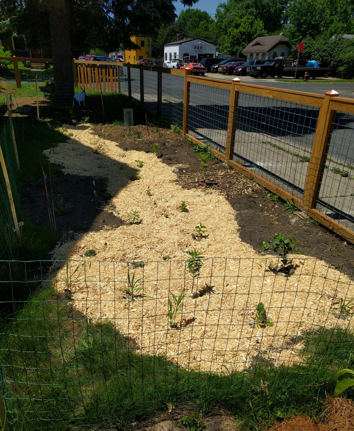 Rain garden with new plants and mulch